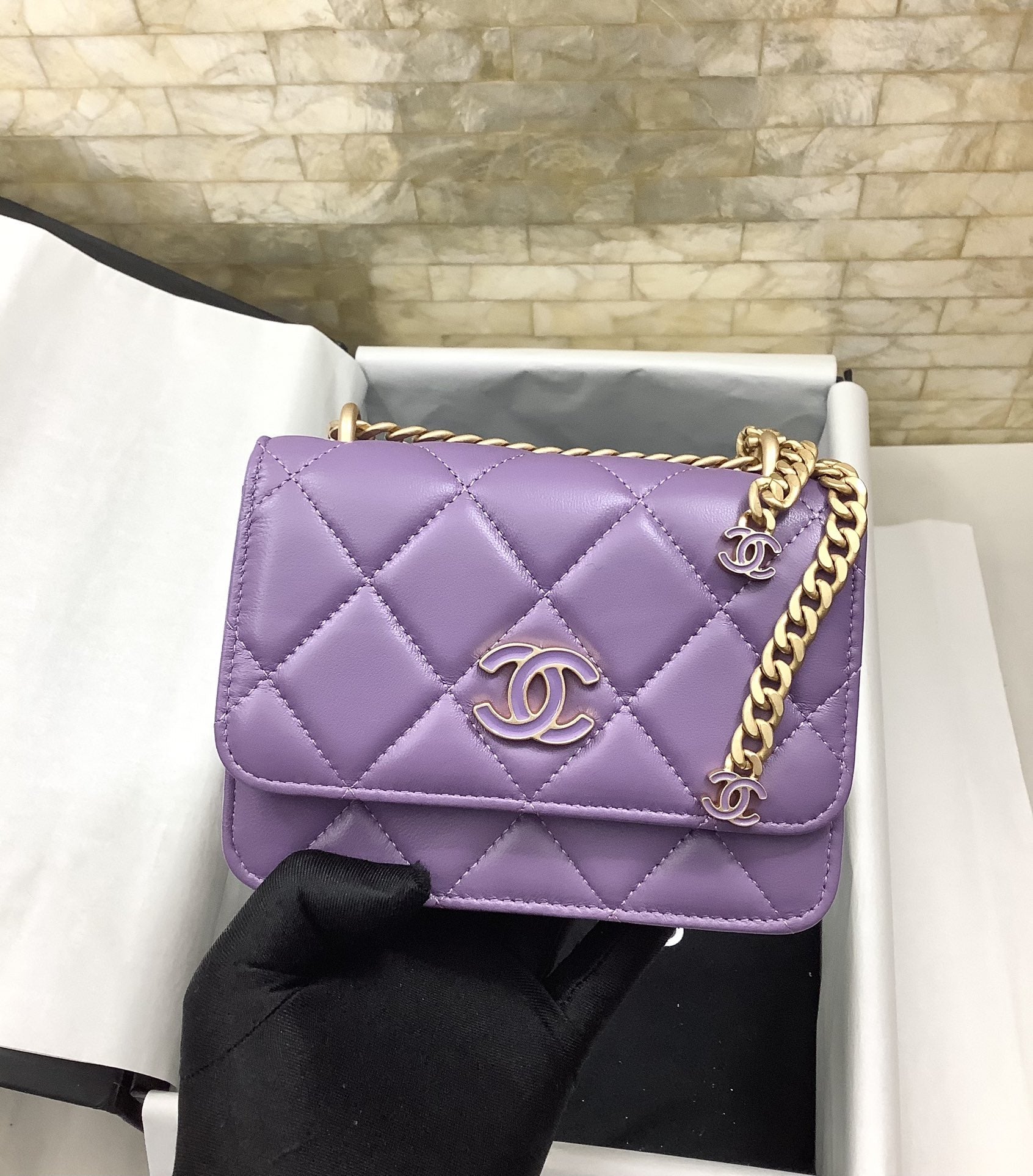 CHL - Spring And SuMM - er 22C Violet For Women Bags 6.1in/15.5LO