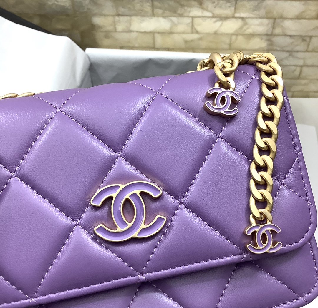 CHL - Spring And SuMM - er 22C Violet For Women Bags 6.1in/15.5LO