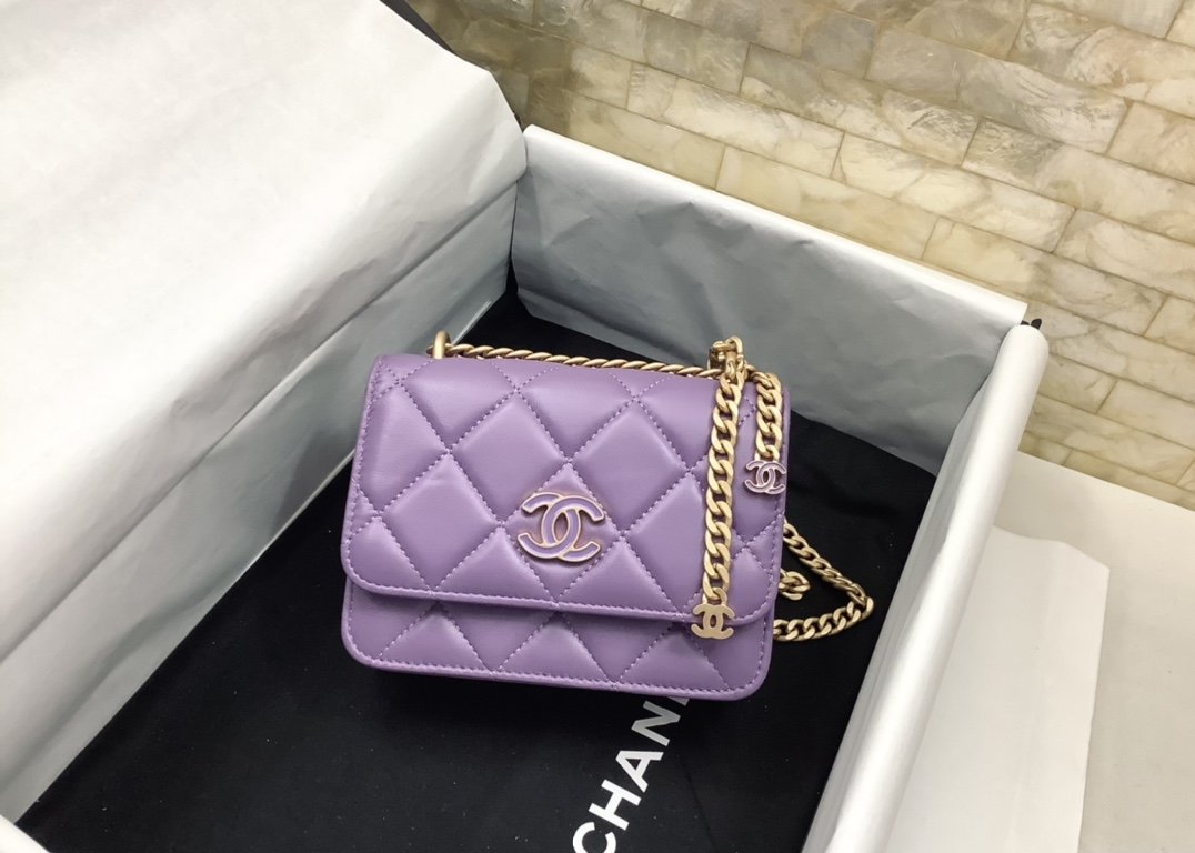 CHL - Spring And SuMM - er 22C Violet For Women Bags 6.1in/15.5LO