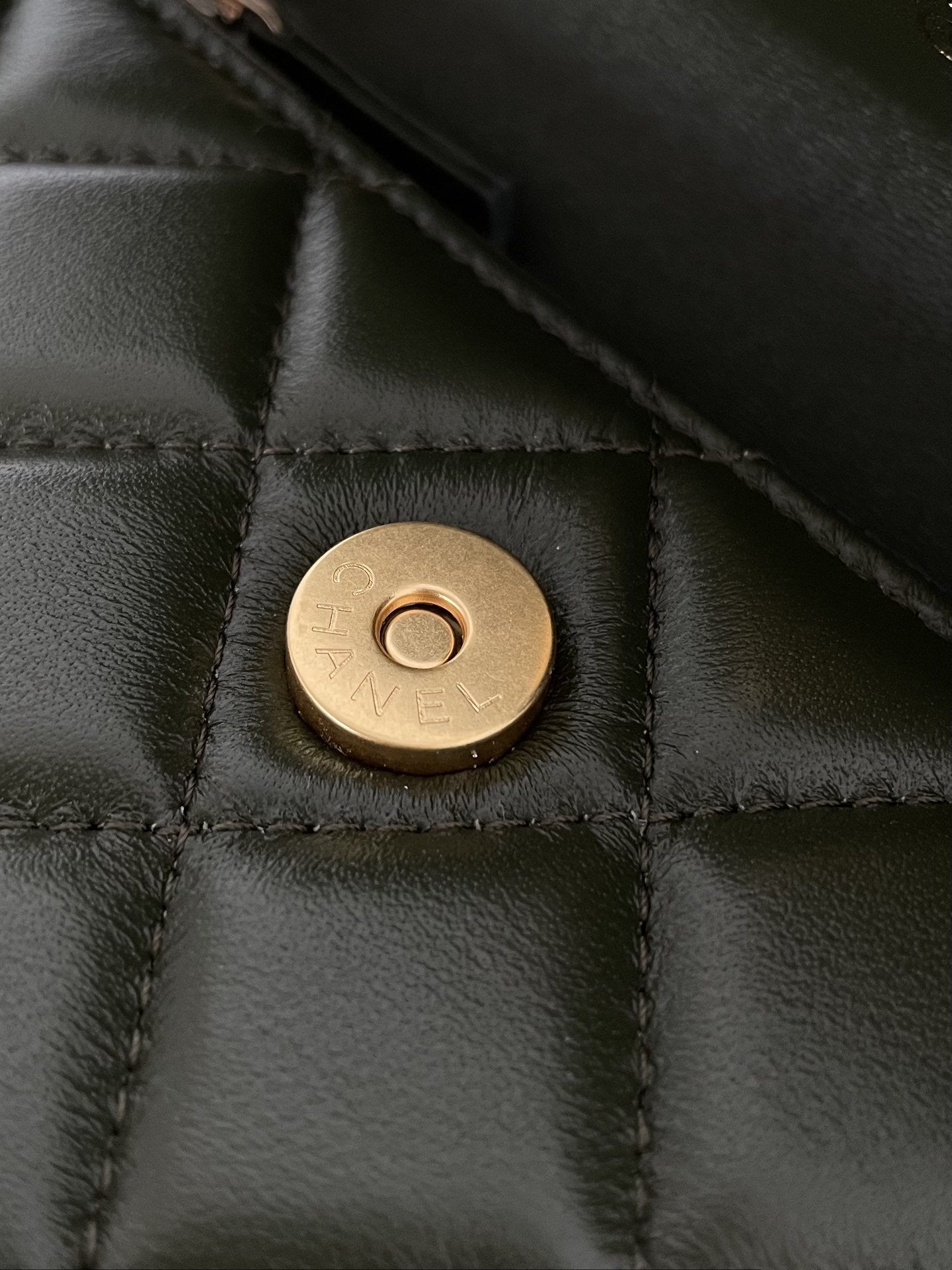 CHL - Wallet With Strap Dark Green For Women Bags 6.7in/17LO
