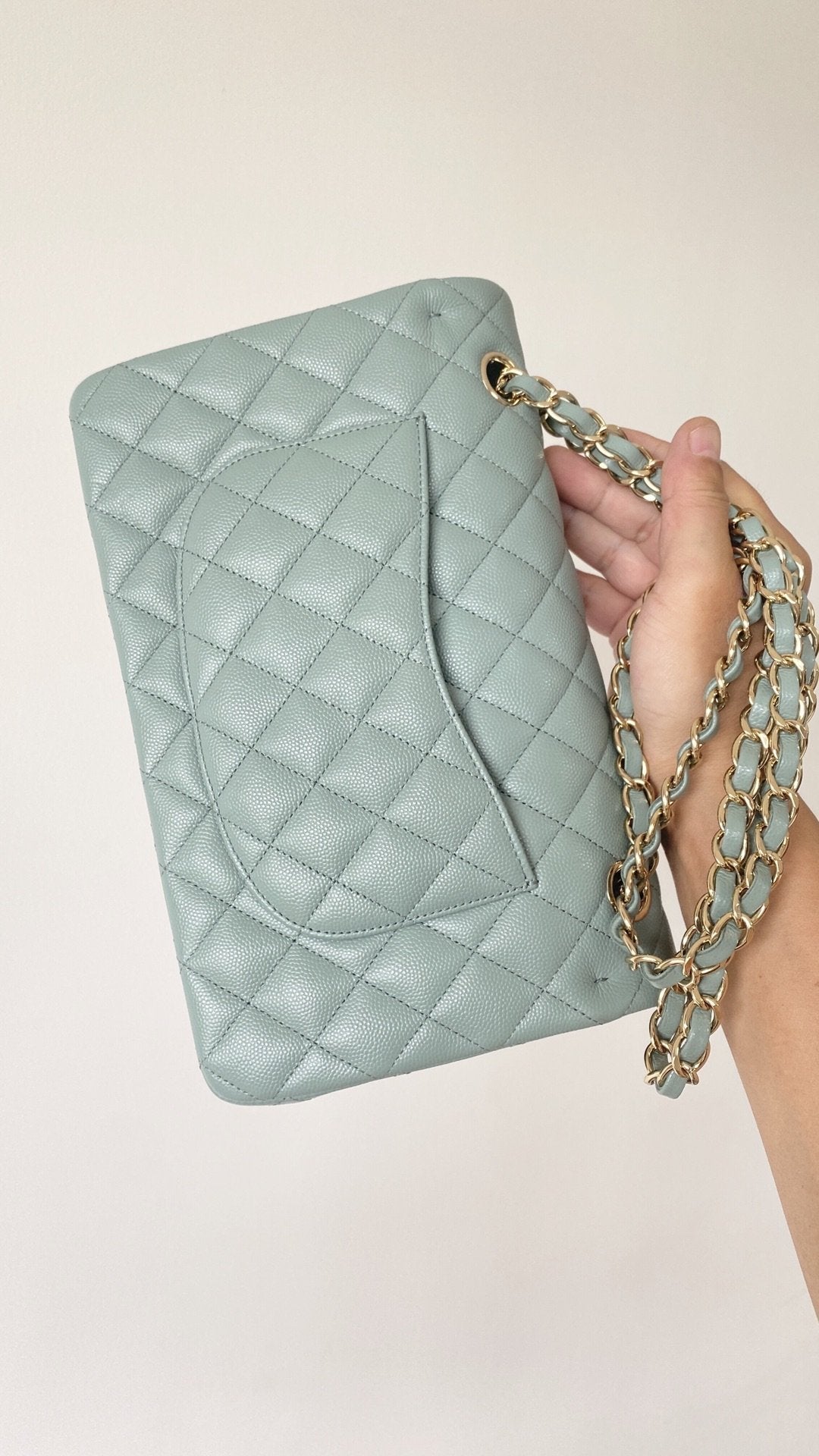 CHL - Small Classic Handbag Light Green For Women Bags 9.1in/23LO